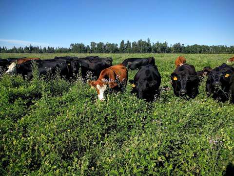 Rempel Farms